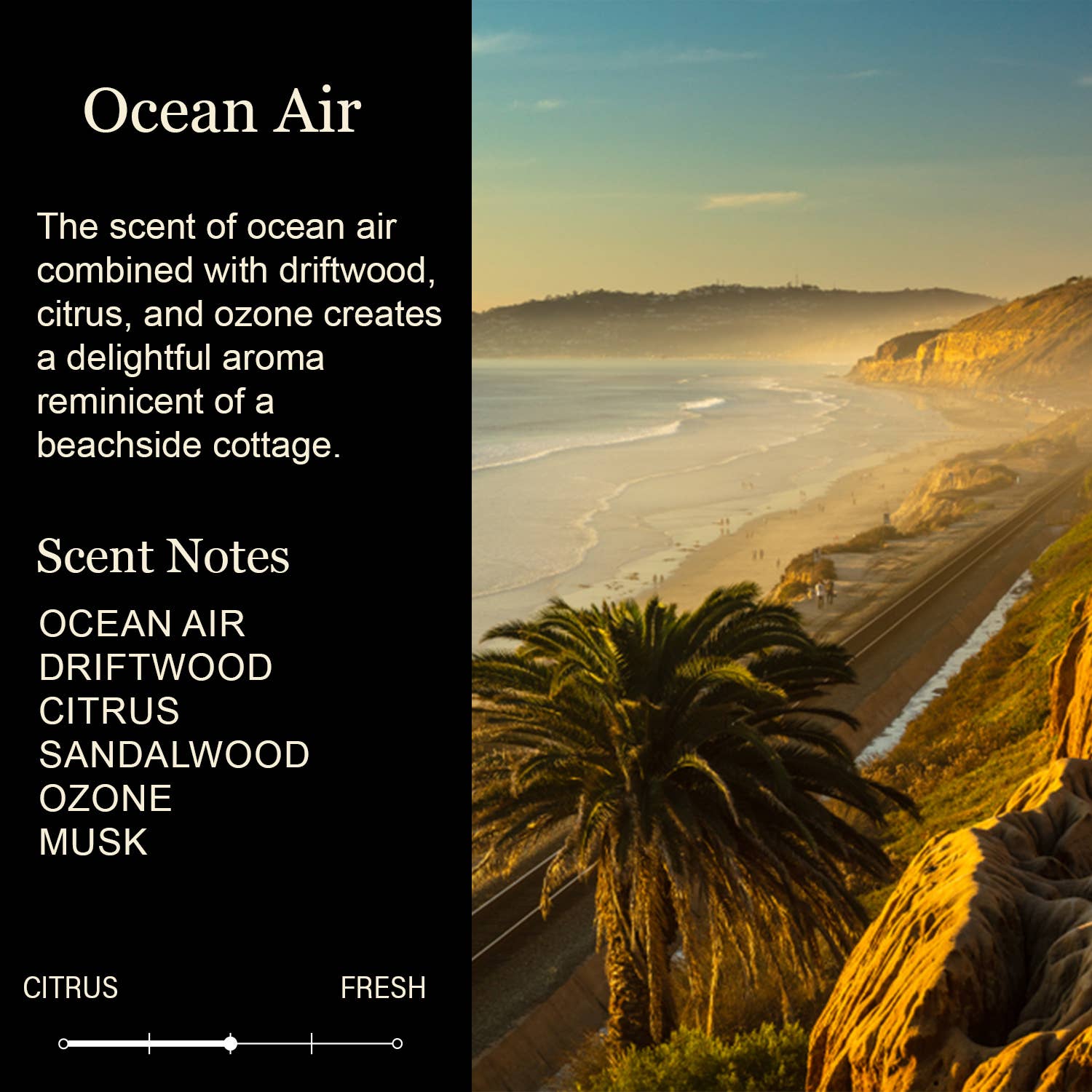 No Matter How Hard, At Least You Don't Have Ugly Children