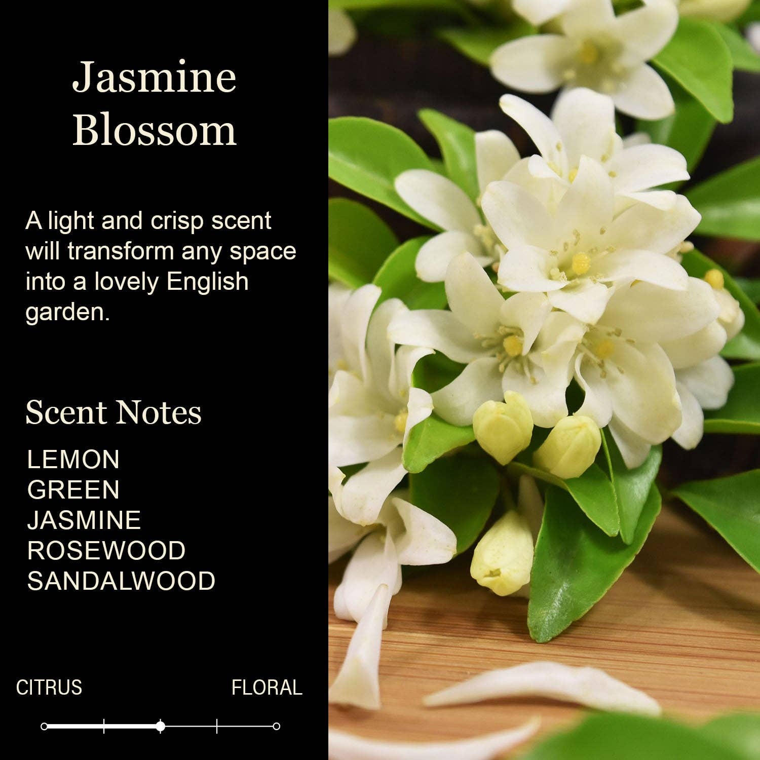 Funny Candle | Grandma No Matter How Hard Life Gets Color Candle